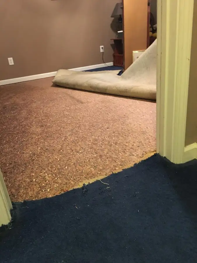 Carpet pad removal revealing water damage during Drying & Dehumidification in Jessup
