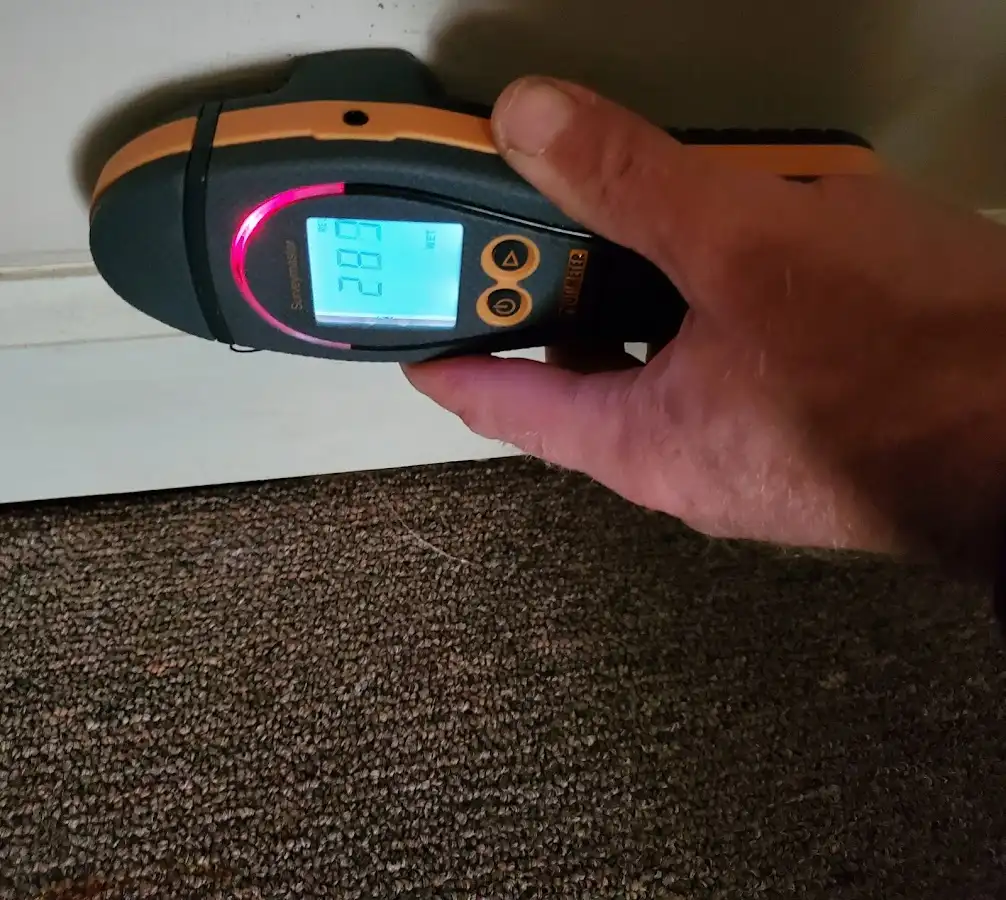 Moisture detection at baseboard during Sewage Cleanup & Sanitation in Jessup